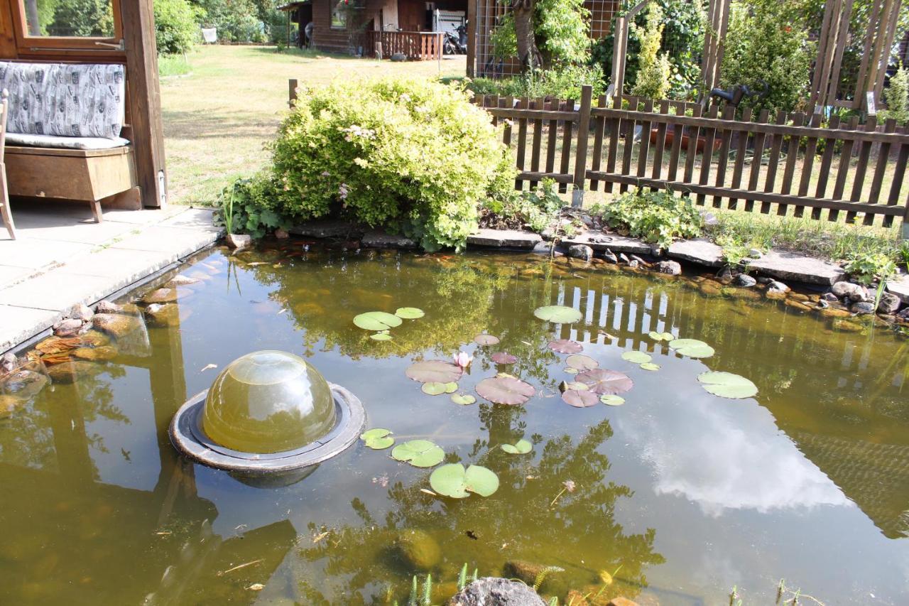 Gepetto Ferienhaus Wissenbach Hademstorf Екстер'єр фото